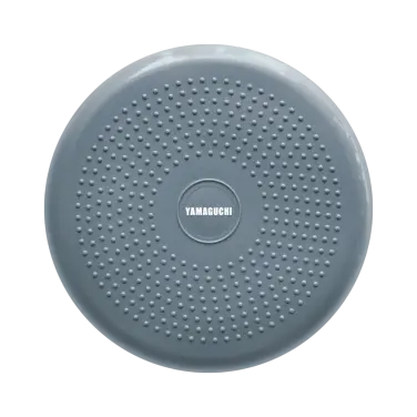 Yamaguchi Balance Disk (gray)
